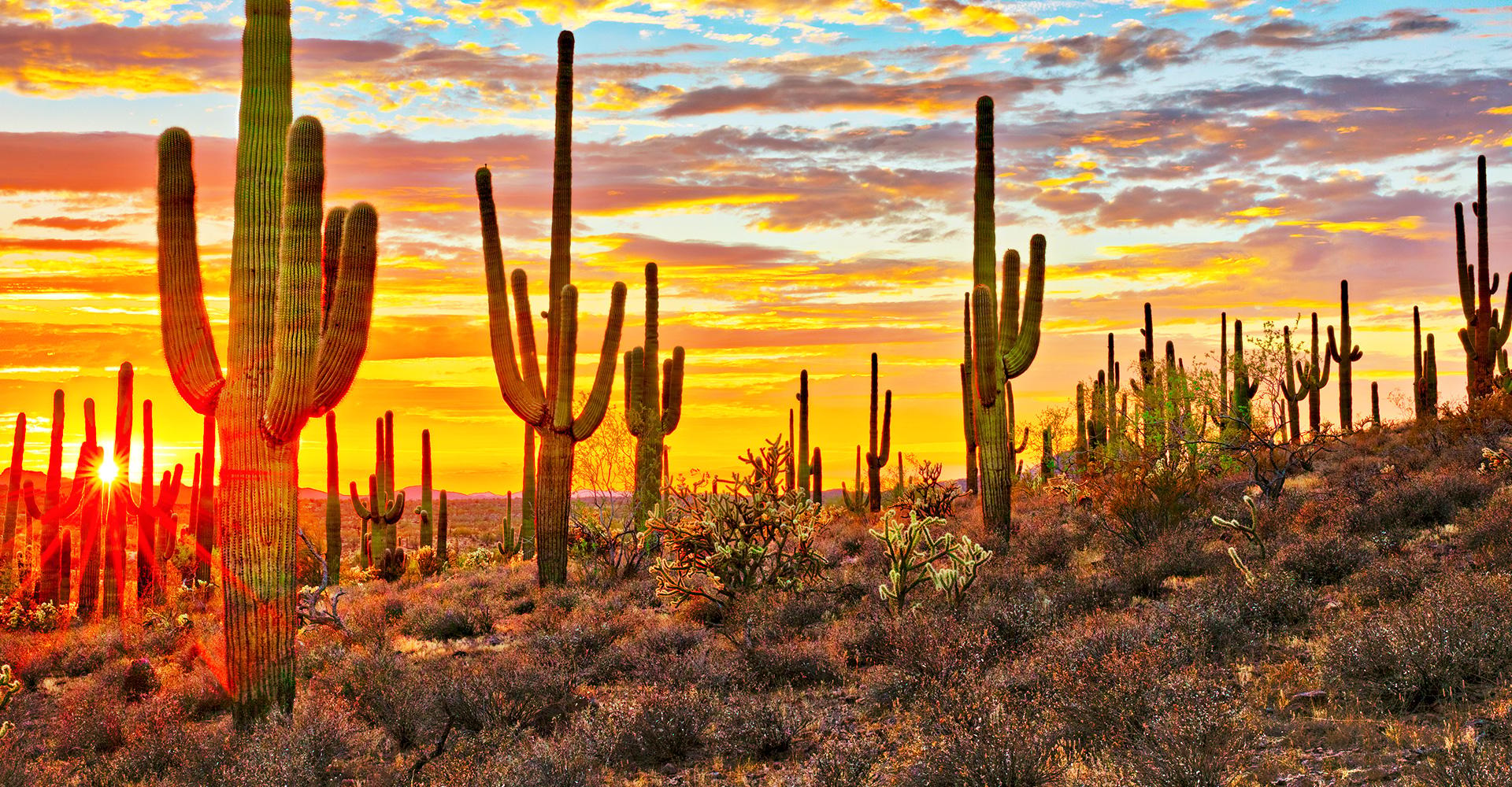 Griffin Capital Completes 11th OZ Land Acquisition