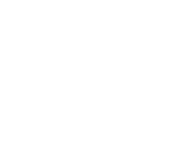 MIT Modular