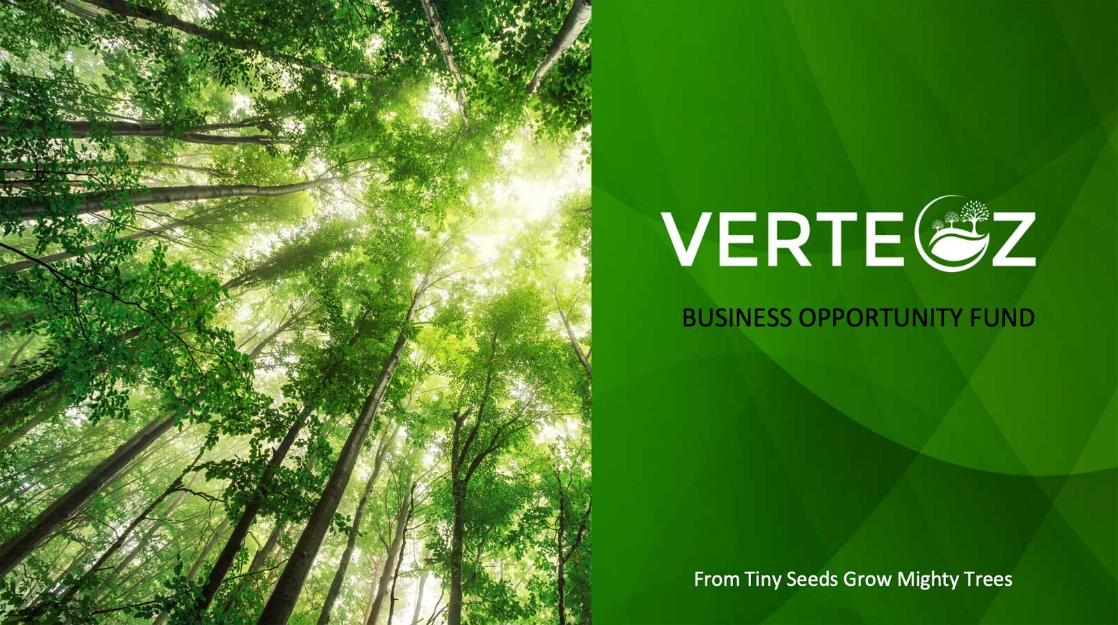 Verte Opportunity Fund